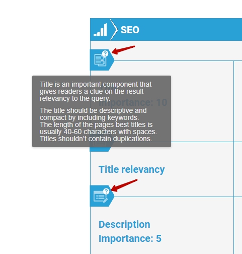 SEO Report Initial Explanations